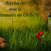 La lettre d&rsquo;actualité n°26 du DÉS – juillet 2026
